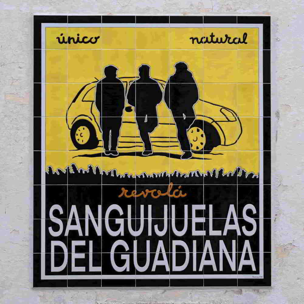 Portada del disco "Revolá" del grupo Sanguijuelas del Guadiana, con una ilustración de estilo artístico que combina elementos del folclore extremeño con toques modernos, representando movimiento, fuerza y expresión cultural.